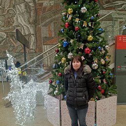 �����, ������, 50 ���