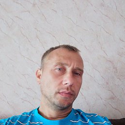 �����, �����, 37 ���