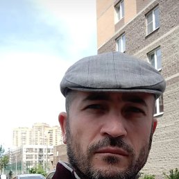 ���� �������, �����-���������, 42 ���� - ��������� 11 ������ 2026