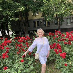 ���� ������, ������-��-����, 61 ��� - ��������� 20 ���� 2026