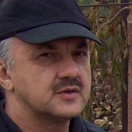 ������, �����������, 65 ���