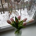 ���� ����, ������, 70 ��� - ��������� 11 ������ 2026 � ������ ���� ����������