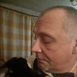 �����������, ������������, 56 ���