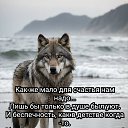 ���� ����, ���������, 63 ���� - ��������� 15 ������ 2026 � ������ ���� ����������