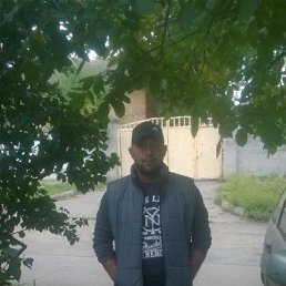 �������, 41 ���, �����