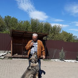 , 65, 