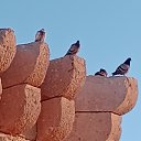 ���� ������, �����, 55 ��� - ��������� 1 ���� 2024 � ������ ������