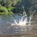 ���� ����, �����, 58 ��� - ��������� 27 �������� 2024 � ������ ���� ����������