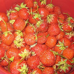 ���� ������, ��������, 38 ��� - ��������� 29 ������� 2025