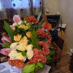 Manull, ������, 45 ���