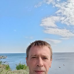 , 51 , 