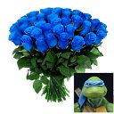 ���� �����, ���, 44 ���� - ��������� 23 ������� 2026