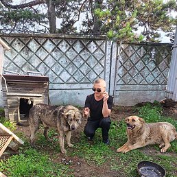 ���� ���������, ���������, 61 ��� - ��������� 23 ������� 2025