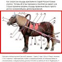 ���� ������, ������, 70 ��� - ��������� 3 ������ 2026 � ������ ������ ��������