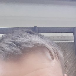 , 28, 