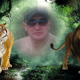 ������, ������������, 49 ���