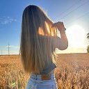 ���� �����, ������, 33 ���� - ��������� 20 ������ 2026 � ������ ���� ����������