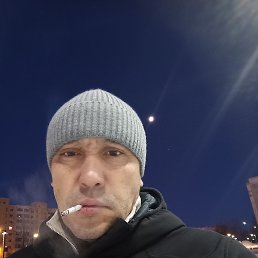 ����, 51 ���, �����