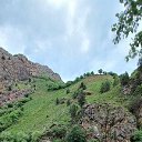 ���� Ali, ������, 42 ���� - ��������� 12 ������ 2024 � ������ ���� ����������