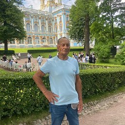 , 61, 