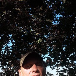 ���� ����, ���������, 55 ��� - ��������� 17 ������ 2023