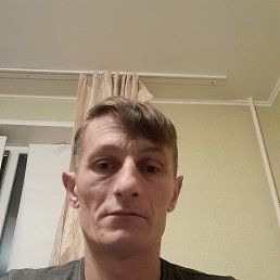 ������, 41 ���, ����