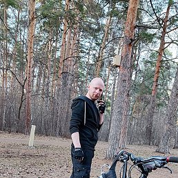 ����, ���������, 37 ���