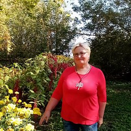 ���� �������, �����-���������, 59 ��� - ��������� 17 ������ 2025