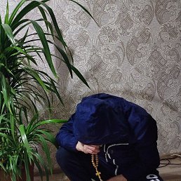 ���� ��������� �������, ������ �����, 41 ��� - ��������� 15 ������ 2026