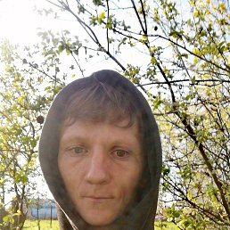, 29, 
