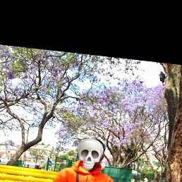 Hakim, ������������, 25 ���