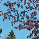 ���� ��������, �����������, 46 ��� - ��������� 22 ������� 2025 � ������ ���� ������ 2025�