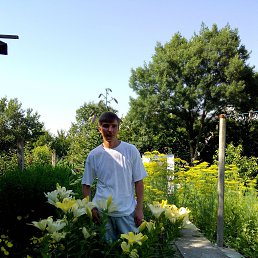  , 39 , 