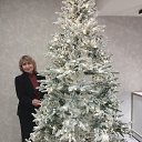 ���� ���, ������, 62 ���� - ��������� 31 ������ 2026 � ������ ���� ����������