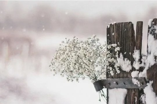 Если хочешь понять человека, Не слушай, что он говорит. Притворись дождём или снегом Изучай, как он ...