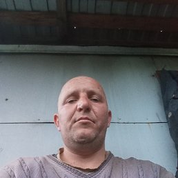  , 37, 