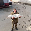 ���� ��������, �������, 50 ��� - ��������� 15 ������ 2025 � ������ ���� ����������