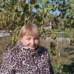 �������, ������, 69 ���