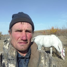 , 41, 