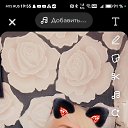 ���� ������, �����-���������, 46 ��� - ��������� 12 ������� 2024 � ������ ���� ����������