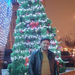 ���� ����, ������, 51 ��� - ��������� 26 ������ 2025