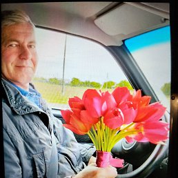 ������, ������, 56 ���