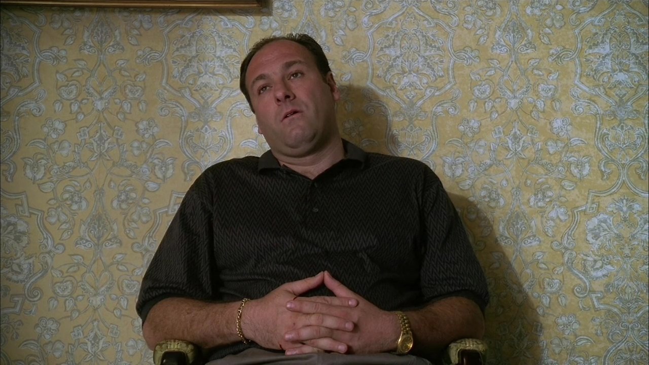   / The Sopranos, 1999 - 2007.dir. Allen Coulters01e05 - 6