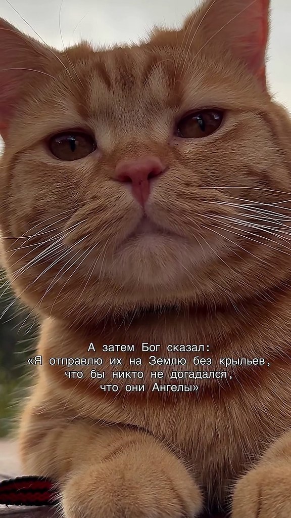     !)