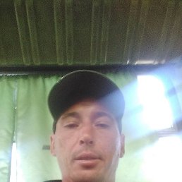 , 33, 