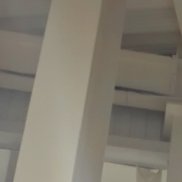 ����, 49 ���, ������