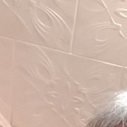 ����, 66 ���, ���������