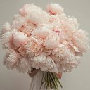 ���� ���, �������� - ��������� 30 ����� 2026 � ������ ������ ��������