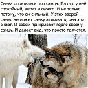 ���� Valery, �������� - ��������� 23 ����� 2026 � ������ ������ ��������