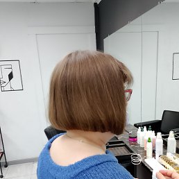 ���� �����, ������, 44 ���� - ��������� 11 ���� 2026